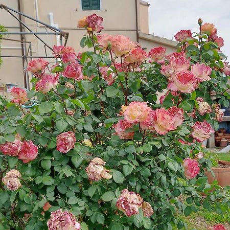 Casa Vacanze L'Acquerello Lari Zewnętrze zdjęcie