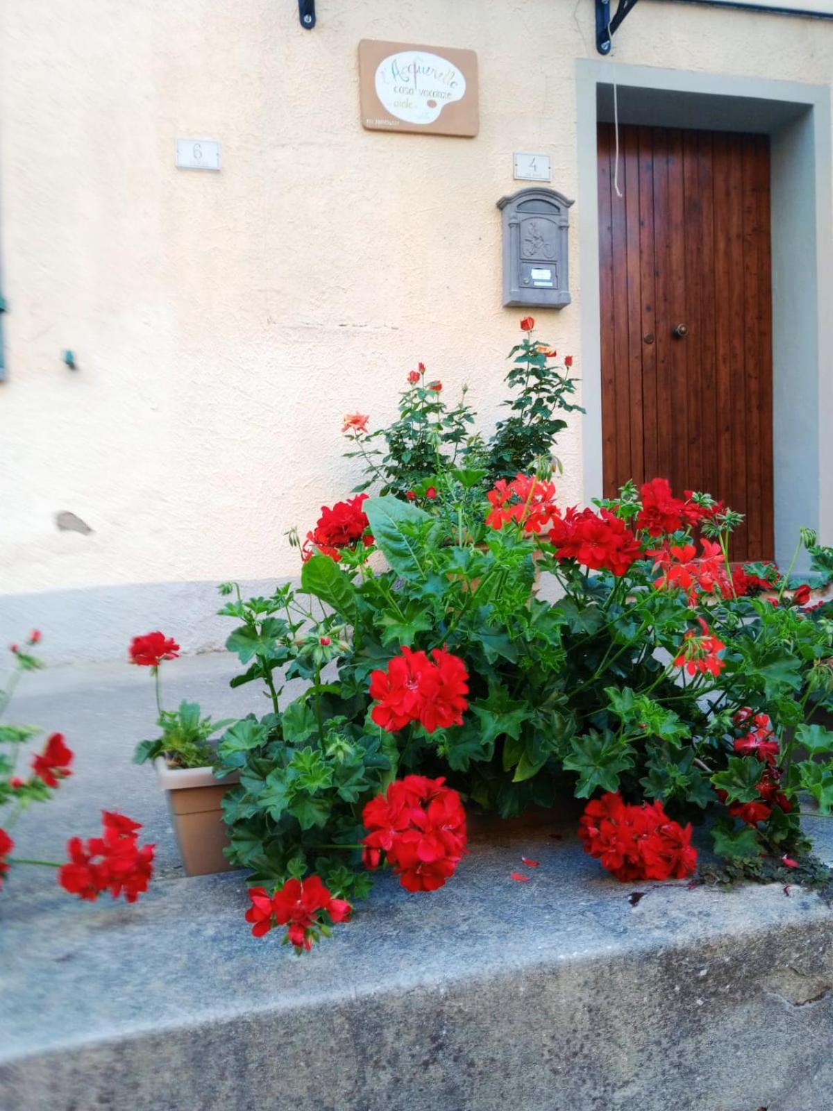 Casa Vacanze L'Acquerello Lari Zewnętrze zdjęcie